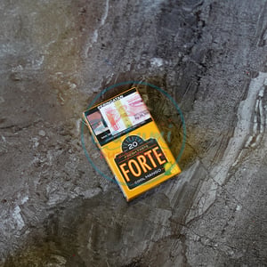 Djarum Forte Cool Mango