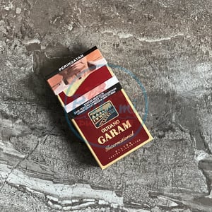 Gudang Garam International