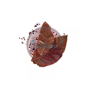 NEO Mild Tobacco (Terracotta)