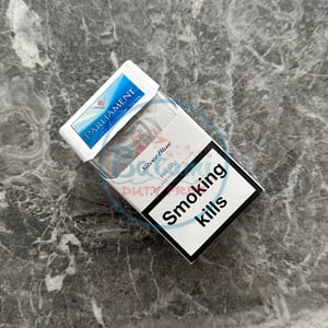 Parliament Silver Blue