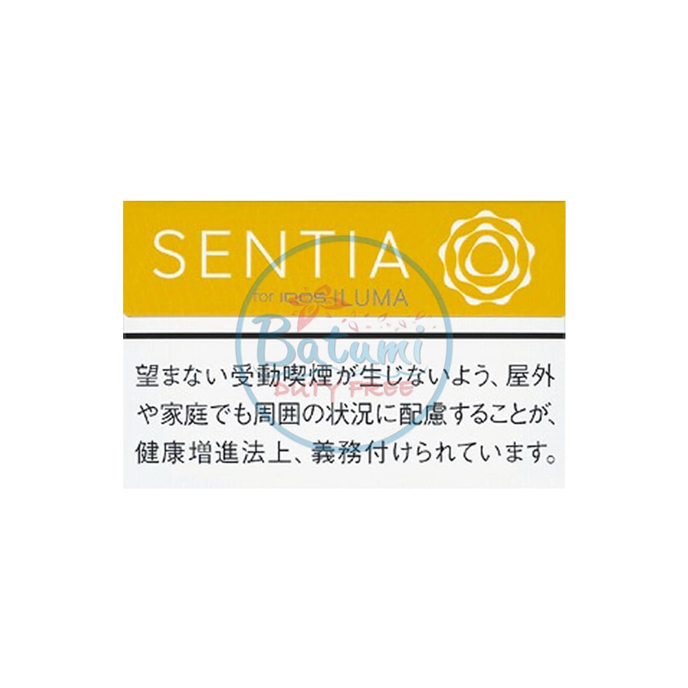 SENTIA Balanced Yellow 1 SENTIA Balanced Yellow