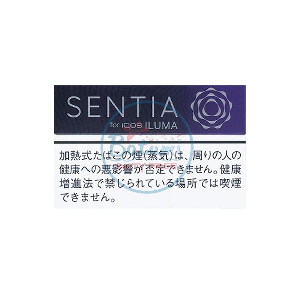 SENTIA Icy Purple 1 SENTIA Icy Purple