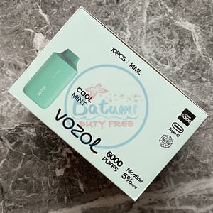Vozol Star 6000 Cool Mint